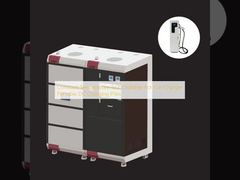 Chambre d'essai à température constante pour les chargeurs de voitures